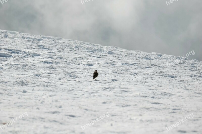 Matagalls Mountains Snow Mountain Landscape