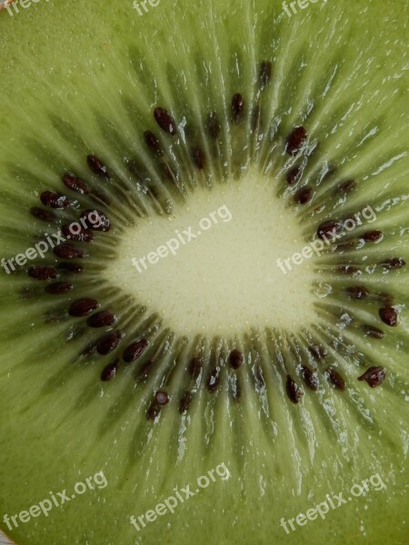 Kiwi Fruit Cores Green Free Photos