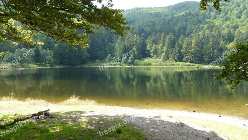 Lake Vosges Mountains Free Photos