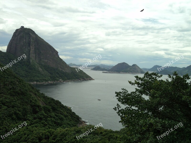 Rio De Janeiro Brazil Tourist Attraction Sugar Loaf Pão De Açúcar Free Photos