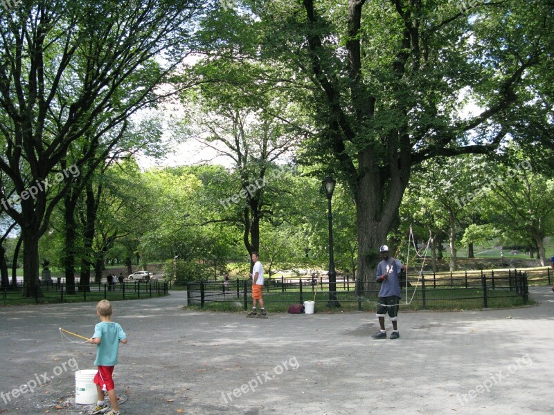 Central Park Artist Nyc Central Park