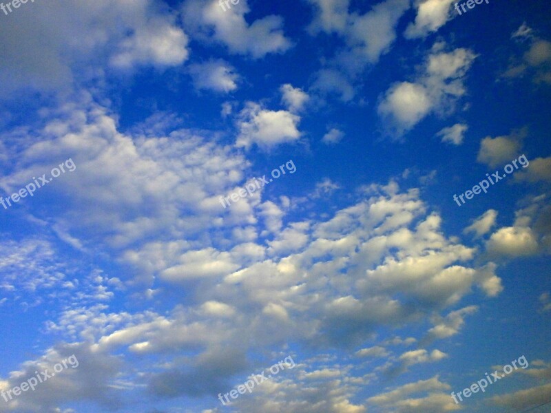 Sky Blue Sky Cirrocumulus Free Photos