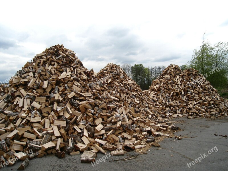 Wood Piles Sky Blue Tree Cloud