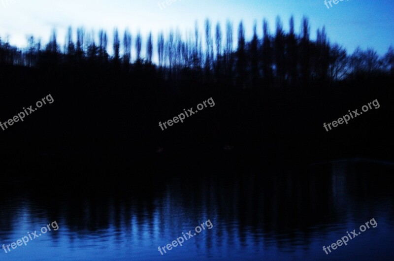 Night Pond Trees Landscape Out Of Focus