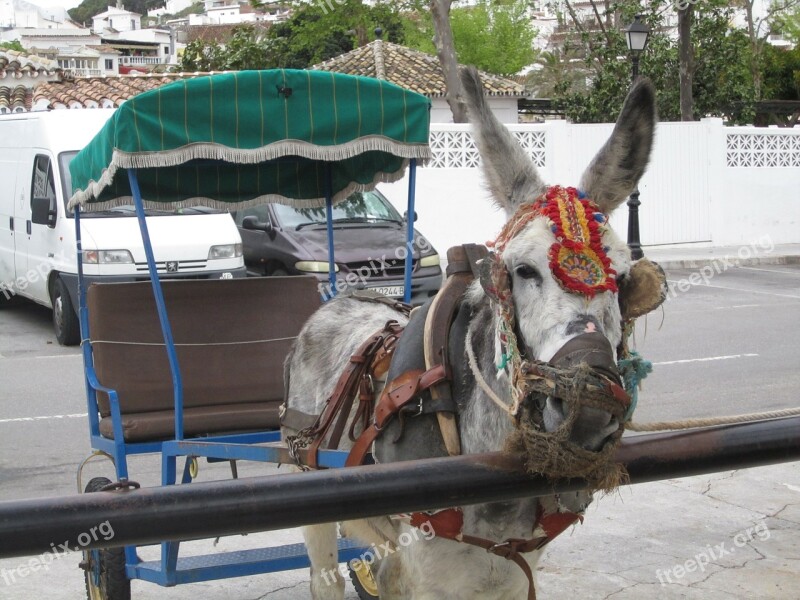 Mijas Spain Andalusia Taxi Donkey