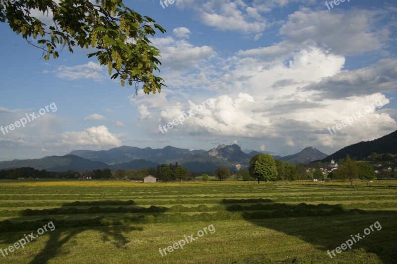 Spring Sunshine May Mountains Trees