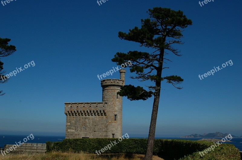 Baiona Galicia Sea Castle Tree