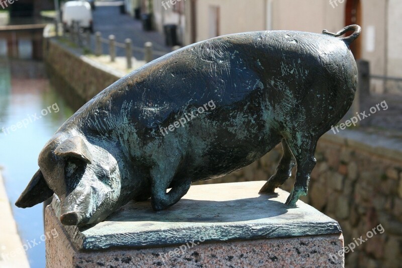 Pig Bronze Statue Wismar Free Photos