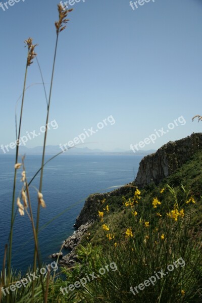 Mediterranean Vacations Plant Free Photos