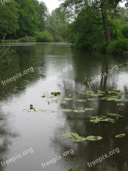 Lake Water Landscape Rain Trees