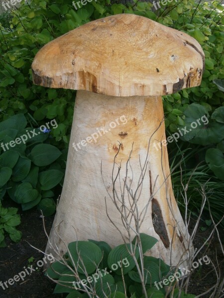 Mushroom Wood Sculpture Free Photos