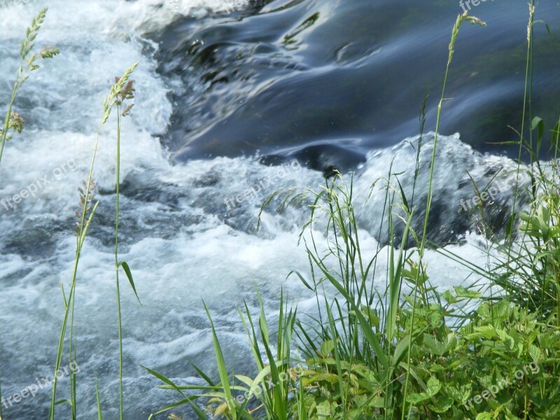 Water Grass River Landscape Flow Free Photos