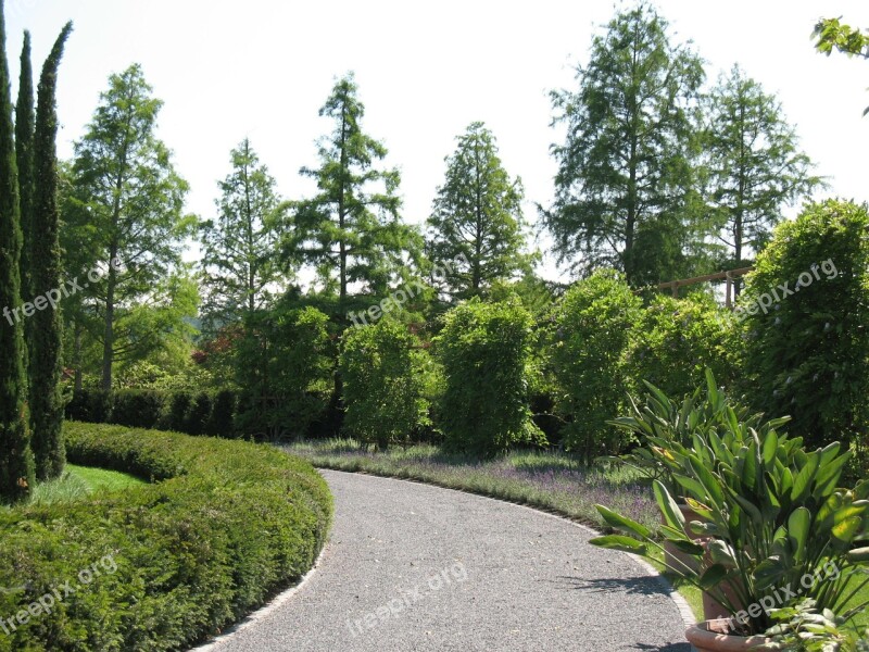 Enea Garden Rapperswil Landscape Trees Avenue