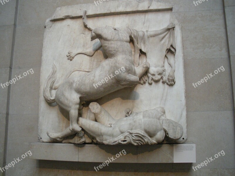 Elgin Marbles Marble Sculpture British Museum Ancient Greece Free Photos