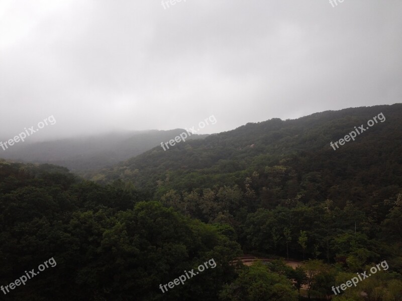 Gwanaksan Mountain Nature Fog Forest