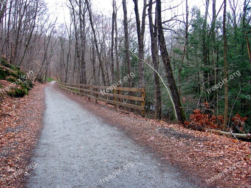 Connecticut Landscape Forest Trees Road