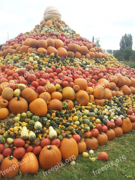 Pumpkins Pumpkin Pumpkin Pyramid Autumn Colorful