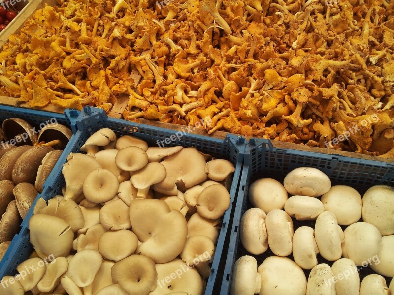 Mushrooms Market Stand Selection Delicious