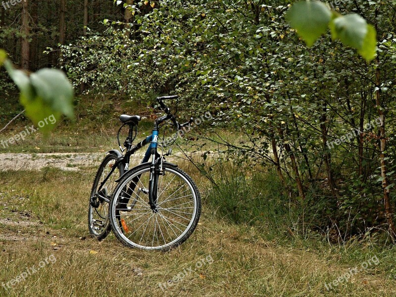 Forest Road Round Cycling Shrubs Trees