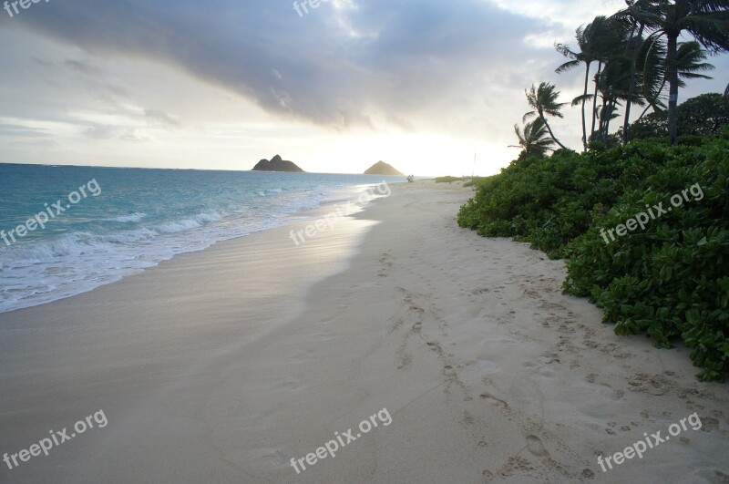 Hawaii Sea Ocean Island Beach