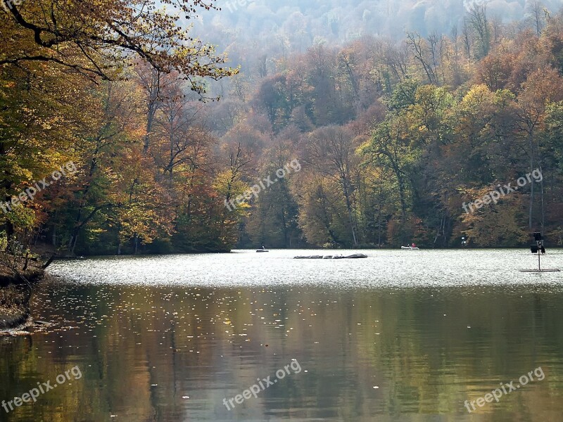 Armenia Fall Autumn Forest Trees