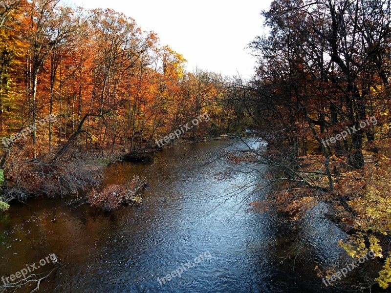 New Jersey Passaic River Fall Autumn Water