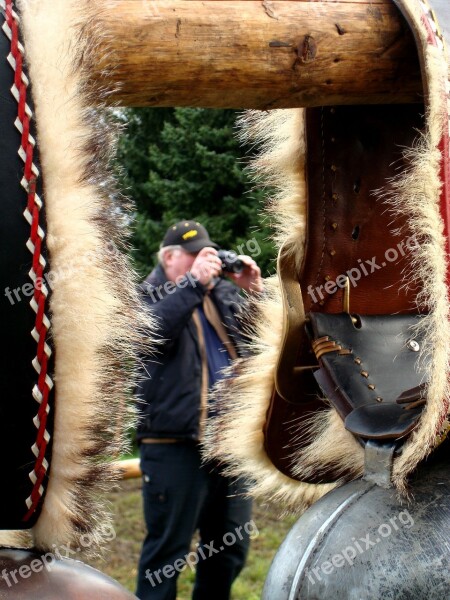 Cattle Show Appenzell Switzerland Cow Bells Free Photos