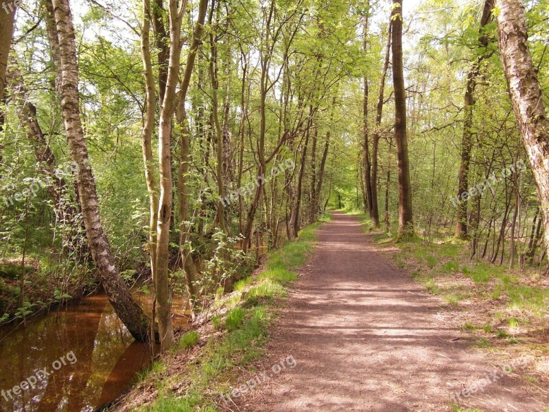 Nature Reserve Moor Forest Away Rarely