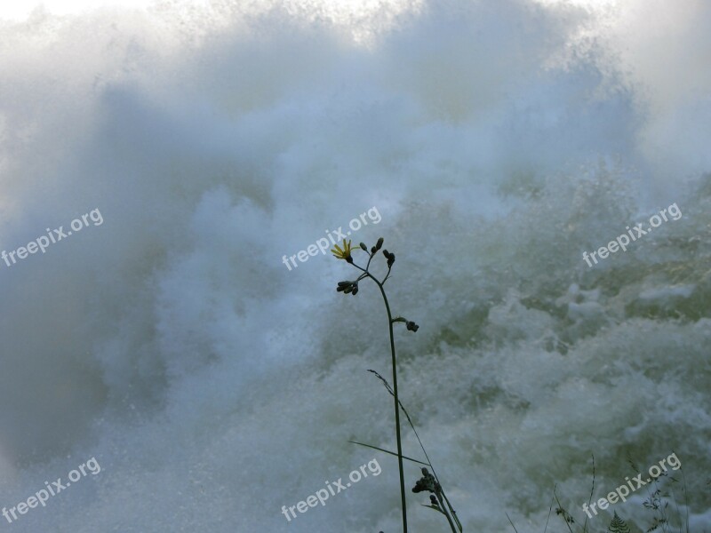 Flower Water Power Awesome Waves