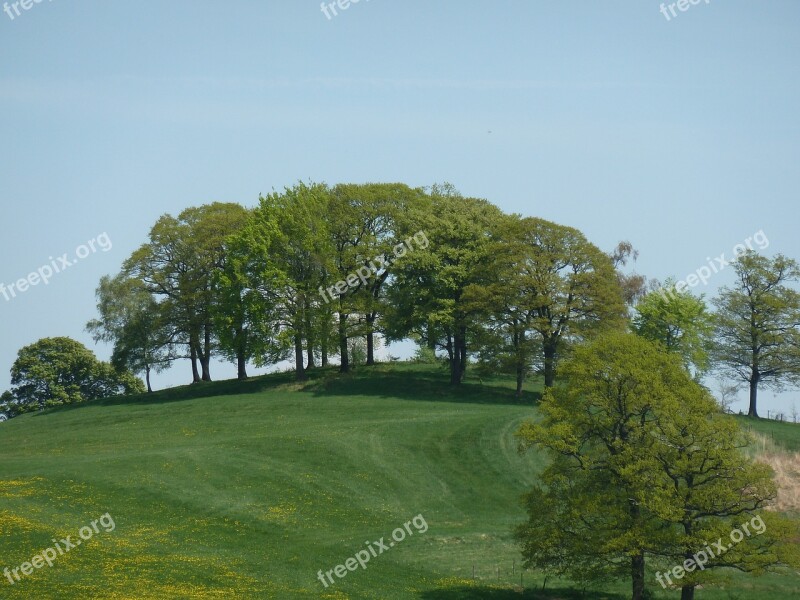 Vaals Netherlands Field Trees Sky