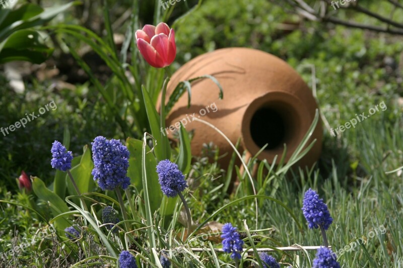 Still Life Object Garden Nature Light