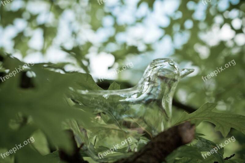 Abstract Glass Bird Modern Animal Glass