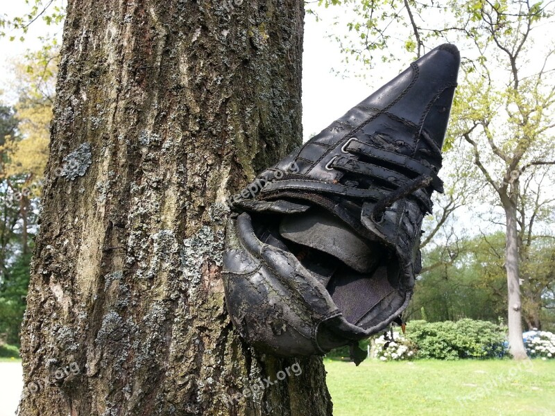 Shoe Tree Bachelorette Party Customs Wedding