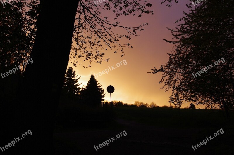 Germany Sunset Forest Edge Free Photos