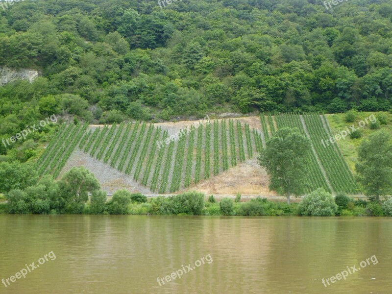 Vineyard Heart Germany Mosel Moselle