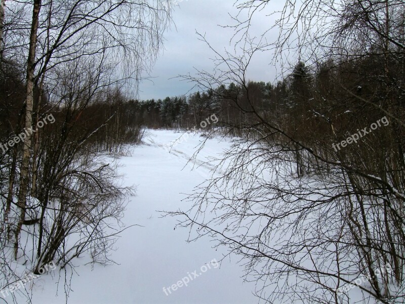 Finland Landscape Scenic Forest Trees