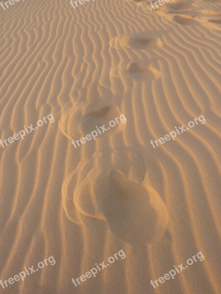 Sand Uruguay Footprints In The Sand Feet Traces