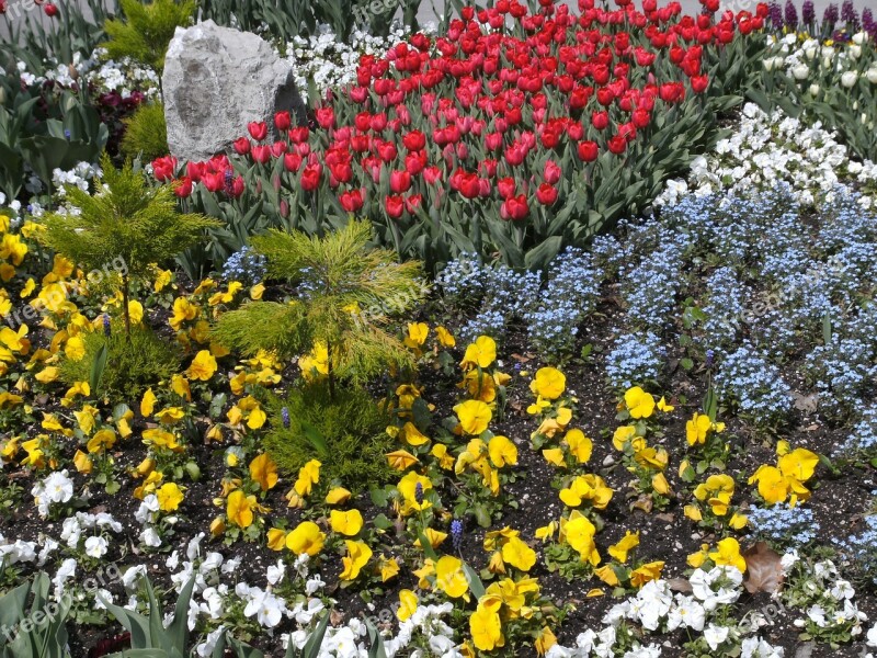 Flowers Bed Flower Bed Discounts Color