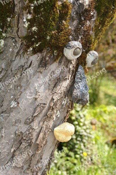 Tree Face Tree Tree Spirit Nature Spirit Face