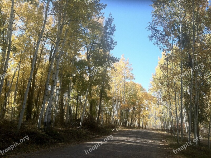 Country Road Rural Country Life Trees