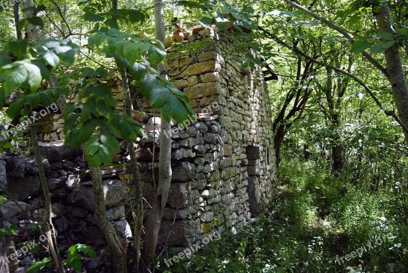 People Abandoned Houses Old Trees