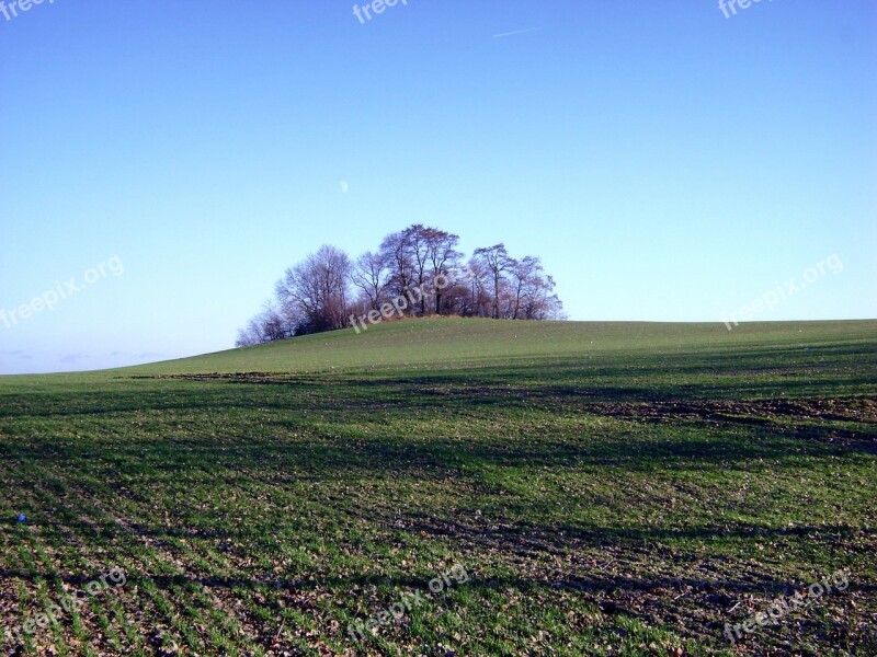 Poland Landscape Scenic Hill Trees