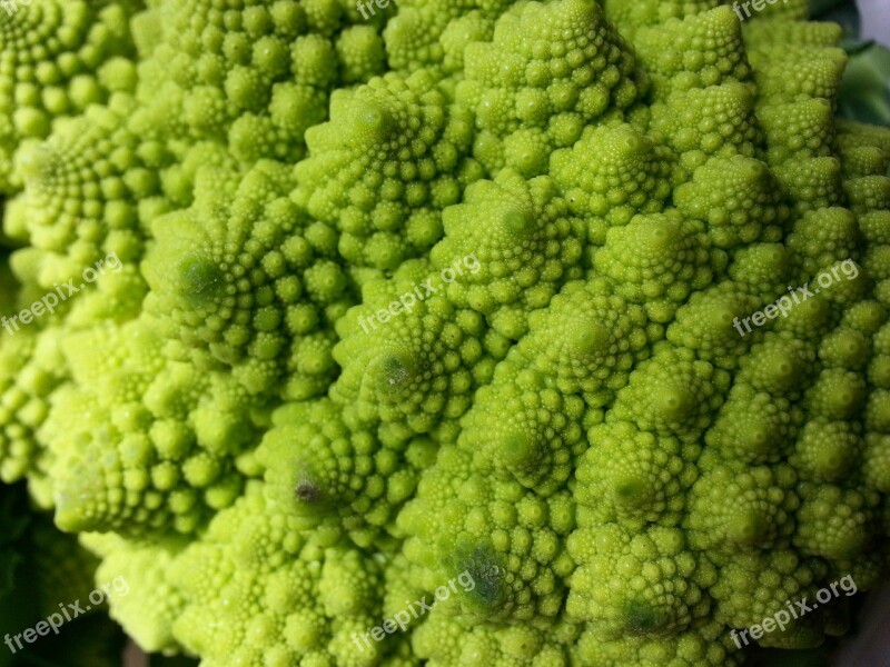 Romanesco Broccoli Cauliflower Vegetables Light Green Broccoli