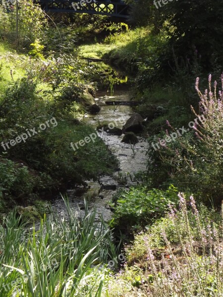 Bach Water Flow River Spring