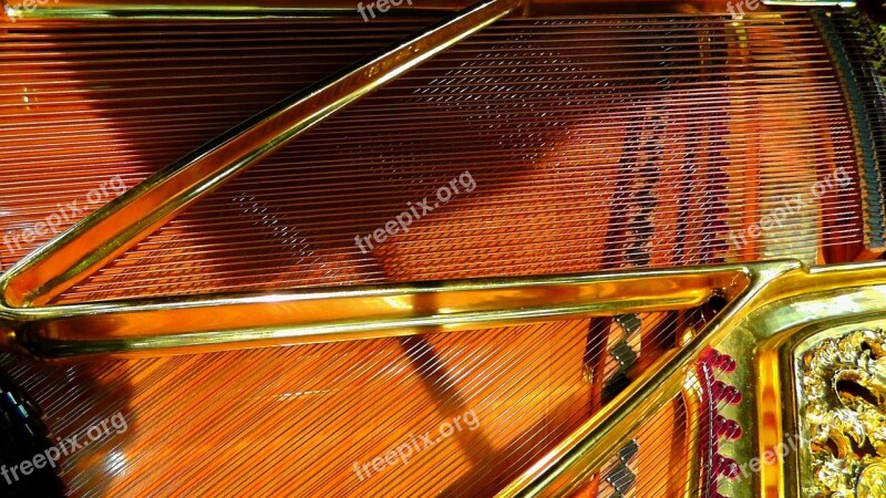 Piano Strings Strings Piano Music Instrument