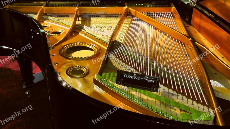 Piano Strings Strings Piano Music Instrument