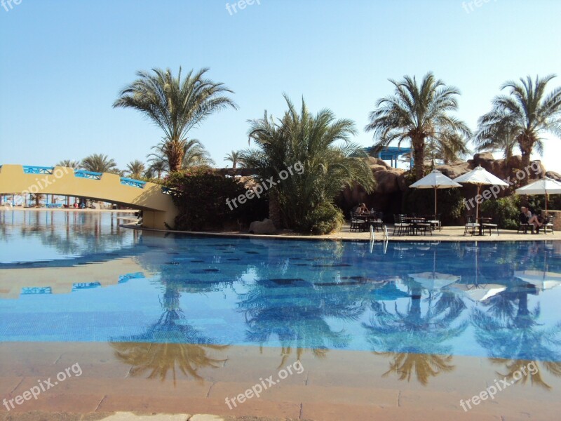 Egypt Taba Desert Swimming Pool Palm Trees