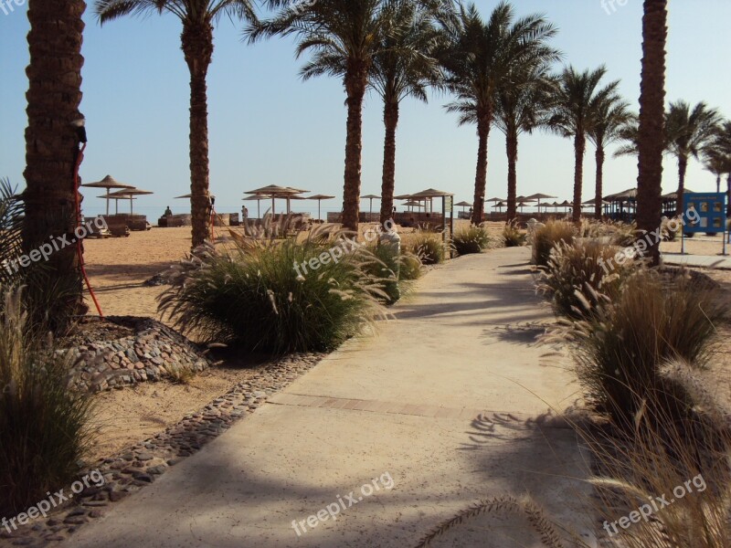 Egypt Taba Desert Swimming Pool Palm Trees