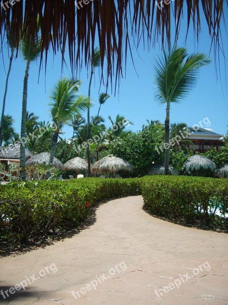 Carribean Dominican Republic Holiday Path Flowers