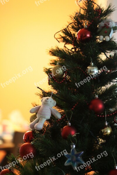 Christmas Tree Bear Free Photos